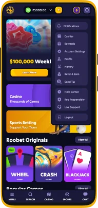 Screenshot of Roobet app account menu